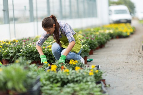 Team member inspecting a garden before work begins