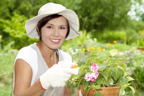 Professional gardener enhancing the aesthetics of an Ealing garden