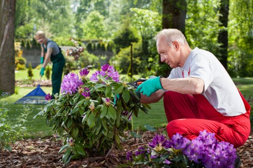 Volunteers and charity partners receiving reclaimed soil and plants