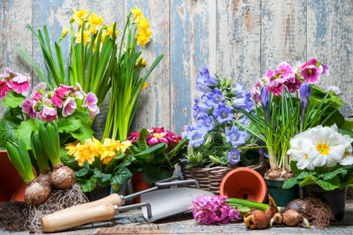 Selection of native plants suitable for Ealing landscape gardening
